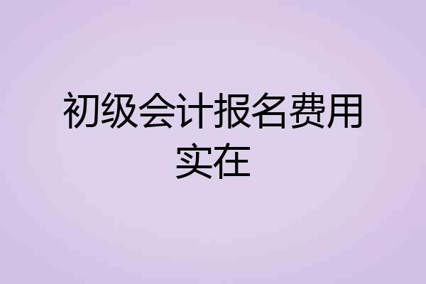 初级会计报名费用实在