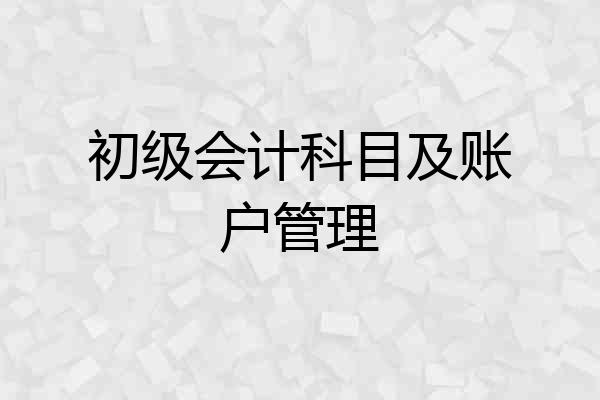 初级会计科目及账户管理
