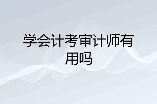 学会计考审计师有用吗