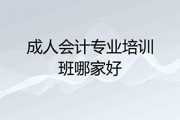 成人会计专业培训班哪家好