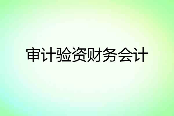审计验资财务会计