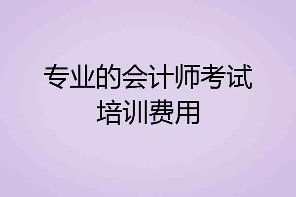 专业的会计师考试培训费用