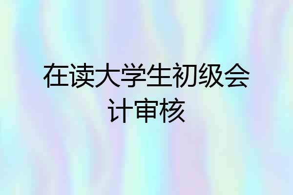 在读大学生初级会计审核