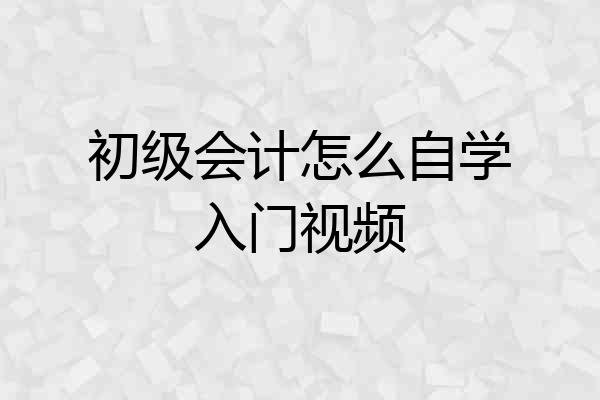 初级会计怎么自学入门视频