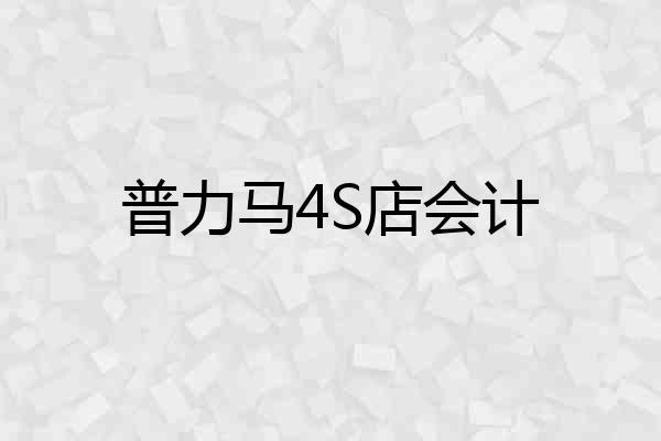 普力马4S店会计