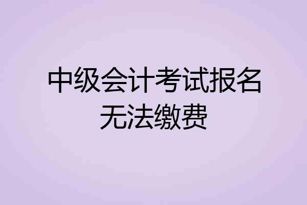 中级会计考试报名无法缴费