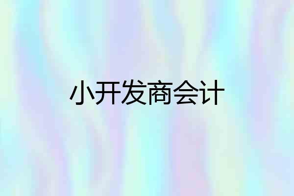 小开发商会计