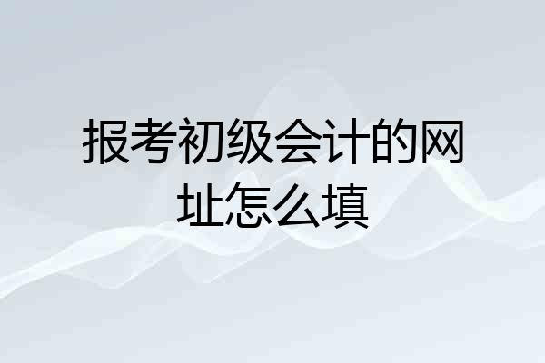 报考初级会计的网址怎么填
