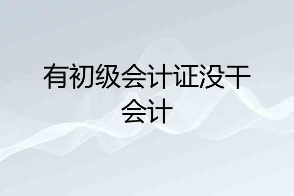 有初级会计证没干会计