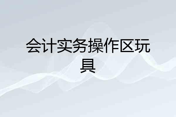 会计实务操作区玩具