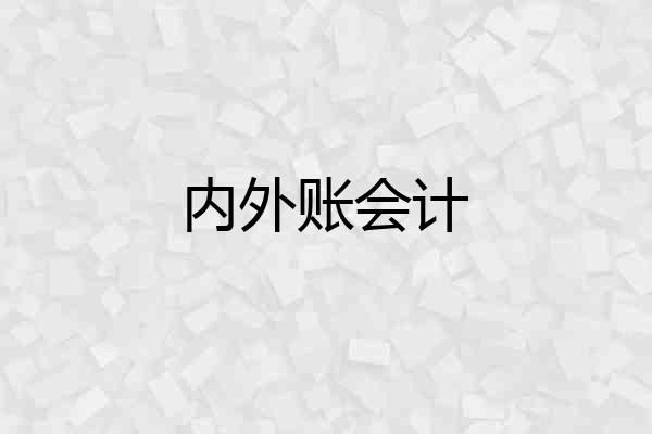 内外账会计