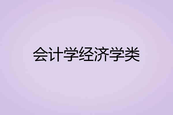 会计学经济学类