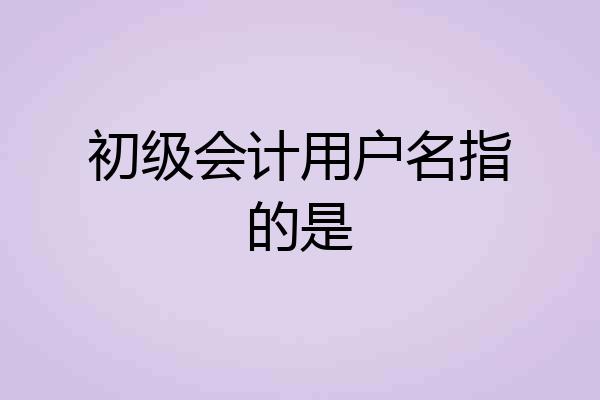 初级会计用户名指的是