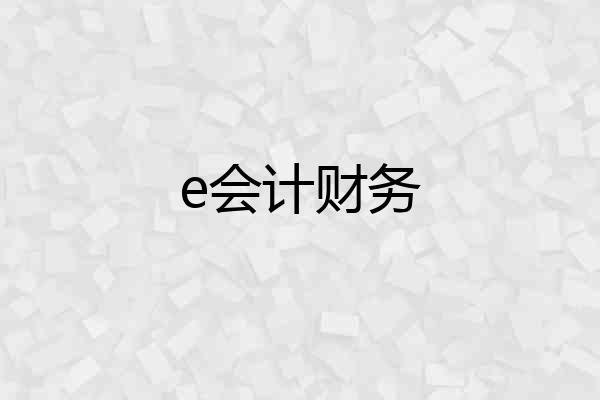 e会计财务