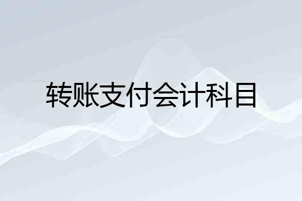 转账支付会计科目