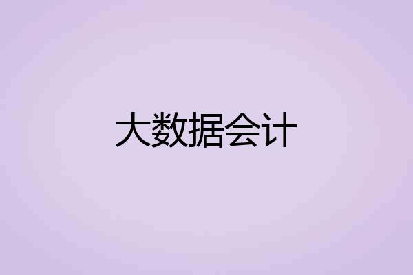大数据会计