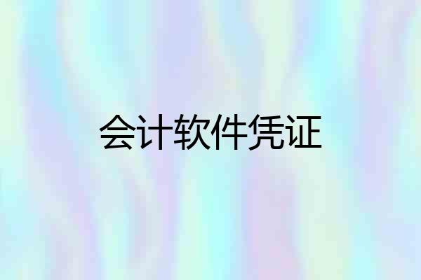 会计软件凭证
