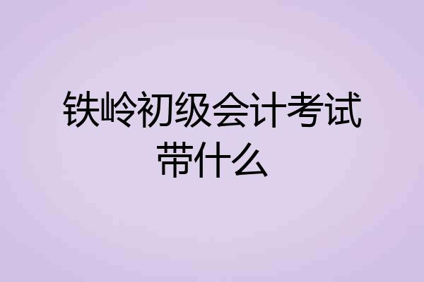 铁岭初级会计考试带什么