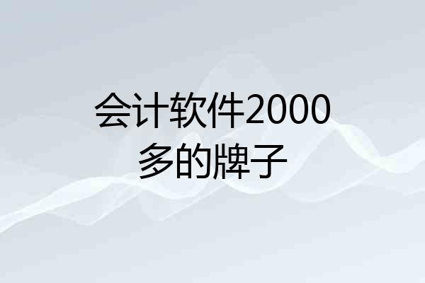会计软件2000多的牌子