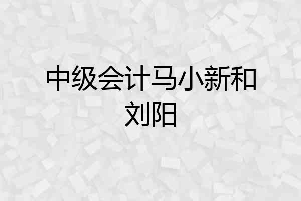 中级会计马小新和刘阳