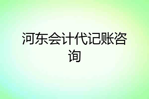 河东会计代记账咨询