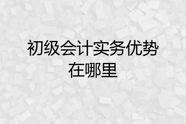 初级会计实务优势在哪里