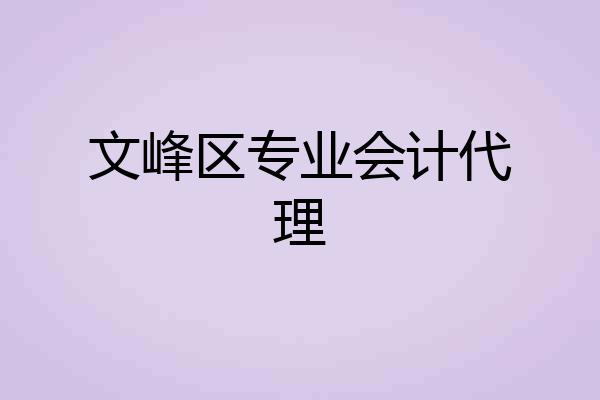 文峰区专业会计代理
