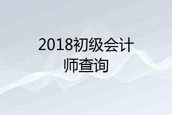 2018初级会计师查询