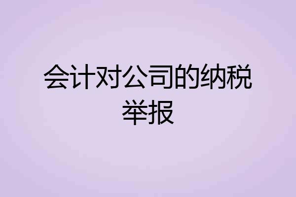 会计对公司的纳税举报
