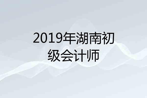2019年湖南初级会计师