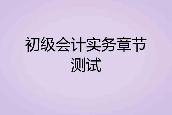 初级会计实务章节测试