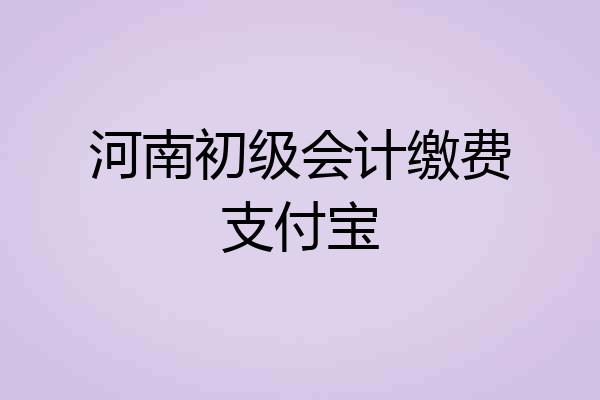 河南初级会计缴费支付宝