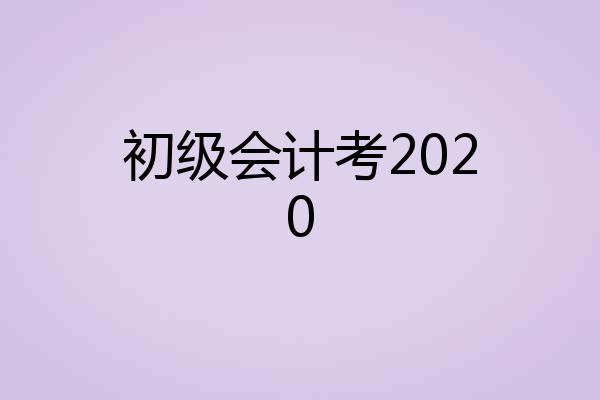 初级会计考2020