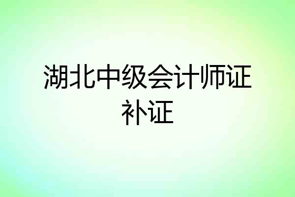 湖北中级会计师证补证
