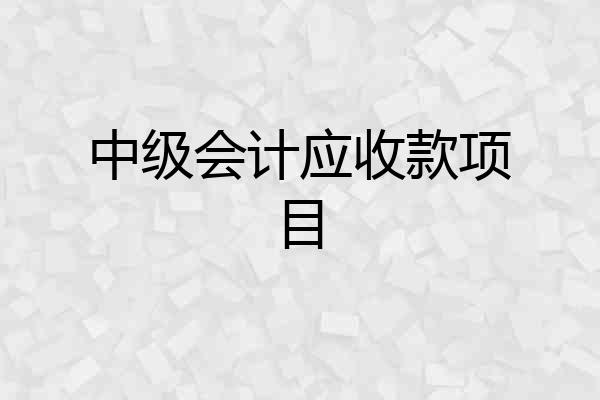 中级会计应收款项目
