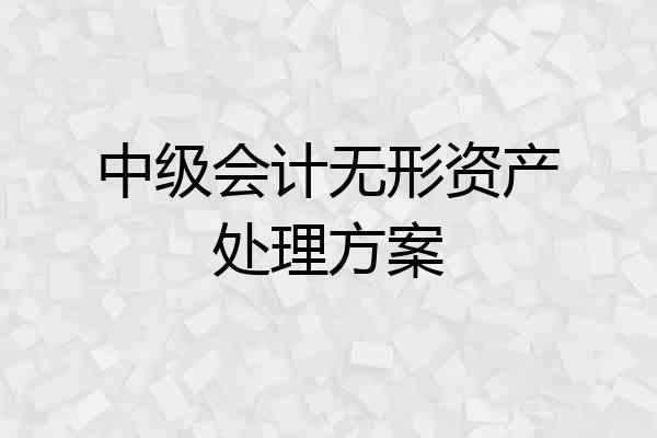 中级会计无形资产处理方案