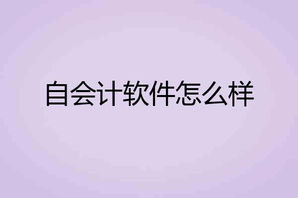 自会计软件怎么样