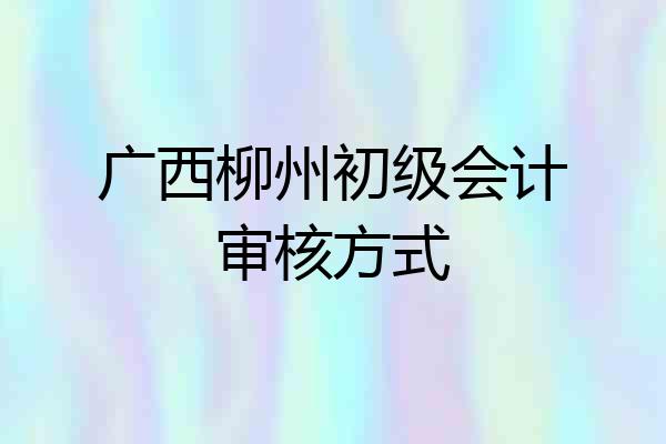 广西柳州初级会计审核方式