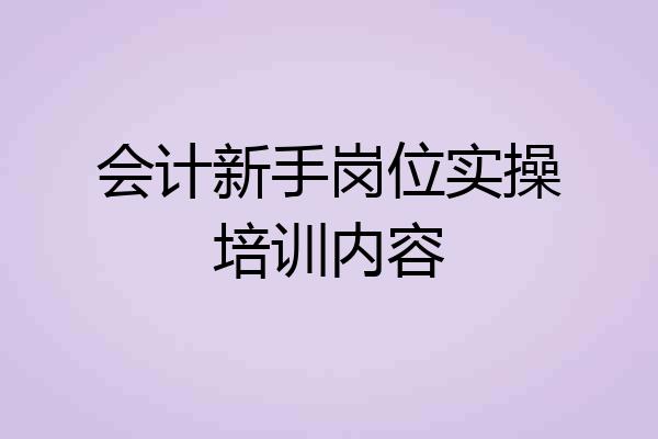 会计新手岗位实操培训内容
