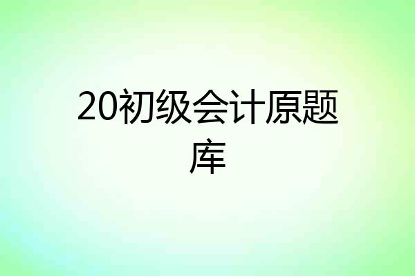 20初级会计原题库