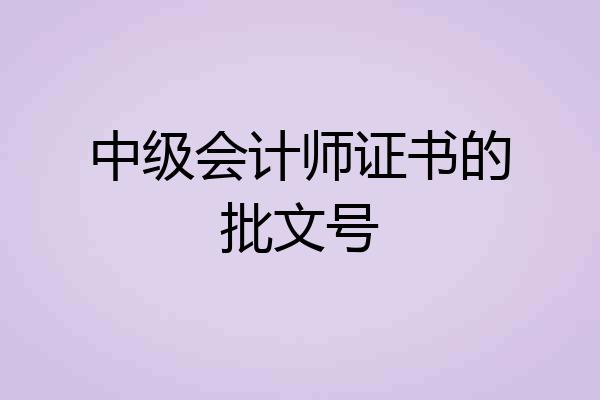 中级会计师证书的批文号