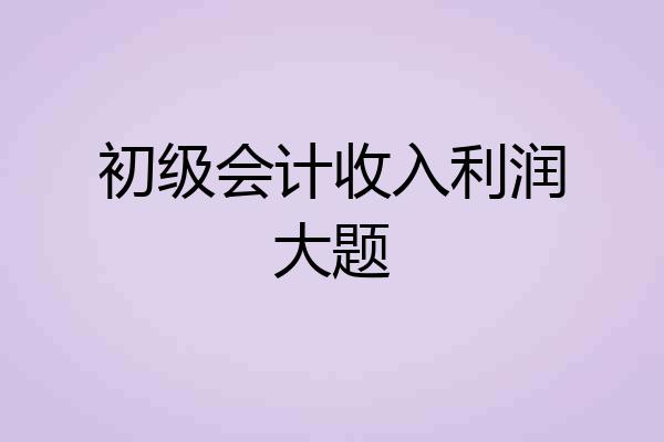 初级会计收入利润大题