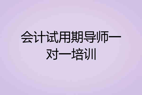 会计试用期导师一对一培训