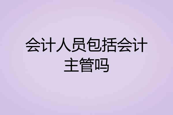 会计人员包括会计主管吗