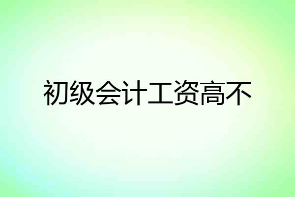 初级会计工资高不
