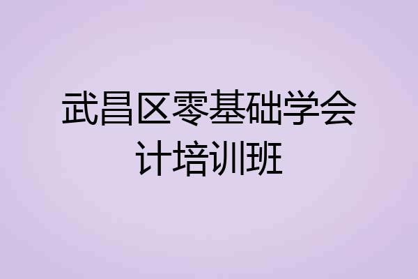 武昌区零基础学会计培训班