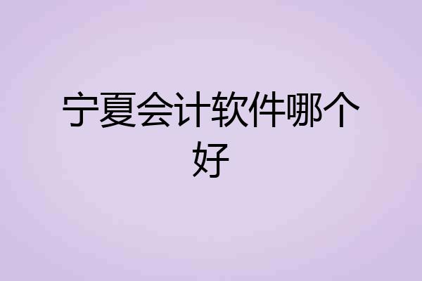 宁夏会计软件哪个好