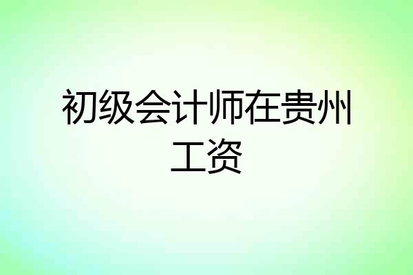 初级会计师在贵州工资