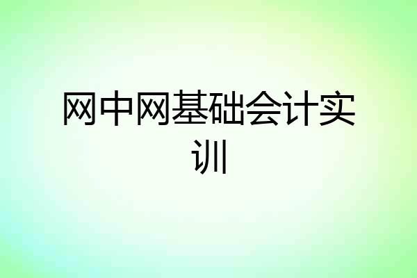 网中网基础会计实训