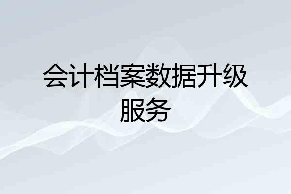会计档案数据升级服务